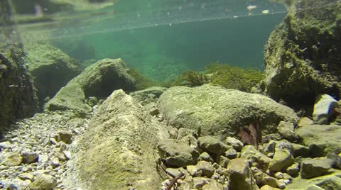 Underwater mountain river Stock Footage 23540969