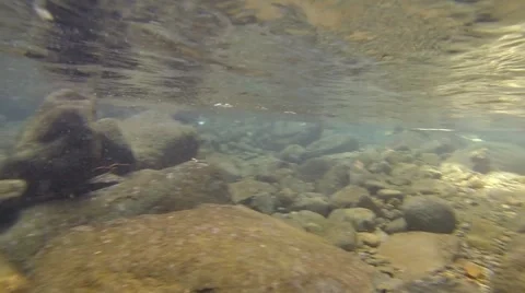 Underwater mountain stream scenery 2 Stock Footage 46271671