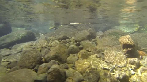 Underwater mountain stream scenery Stock Footage 46271681