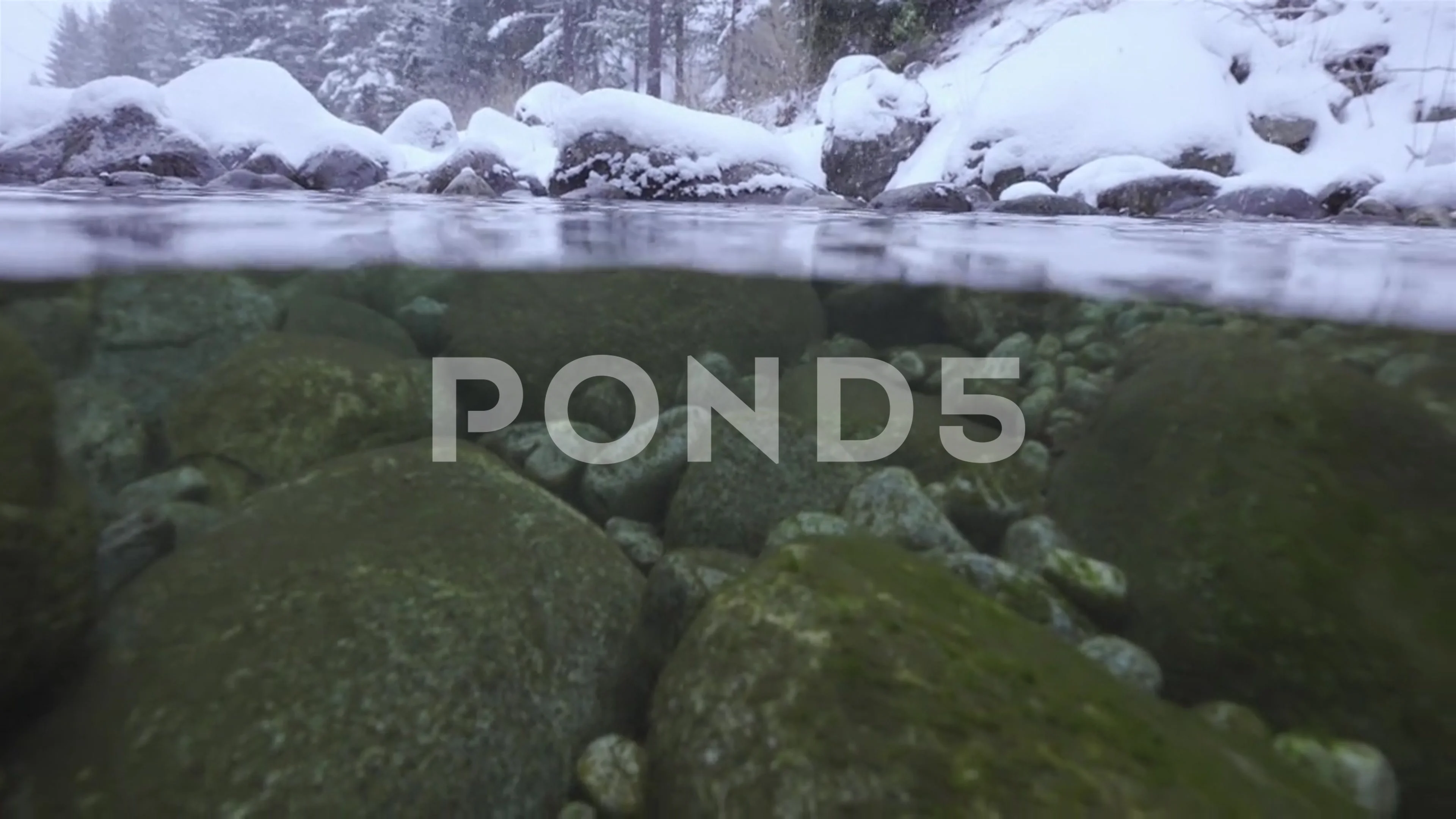 underwater mountain stream in winter wit... | Stock Video | Pond5