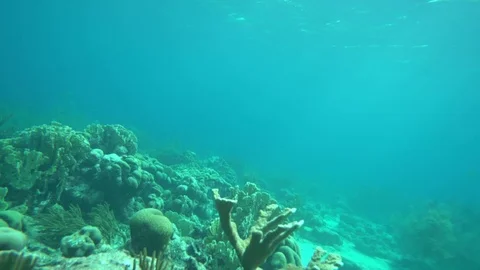 Underwater movement sunlight through blue water Stock Footage 75248213