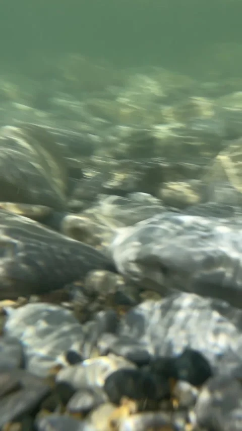 Underwater movement of waves over smooth stones Stock Footage 283485804