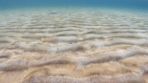 Underwater moving over wavy sand seabed Stock Footage 299047052