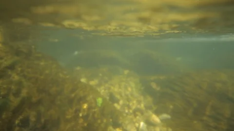Underwater moving shot of a small creek  where the waters of the creek runs fast Stock Footage 86741153
