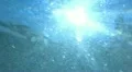 Underwater Ocean 21 Sunlight HD Footage