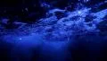 Underwater Ocean 96fps 05 Slow Motion x4 HD Footage