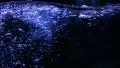Underwater Ocean 96fps 06 Slow Motion x4 HD Footage