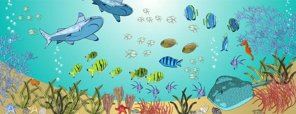 Underwater ocean creatures. Stock Illustration