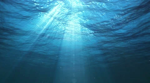Underwater Ocean Current - Seamless Loop 4K Stockbeeldmateriaal 54621909