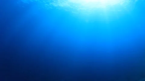 Underwater Ocean Stock Footage 67085637