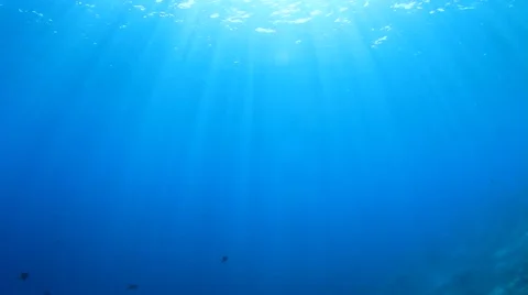 Underwater Ocean Stock Footage 67085644