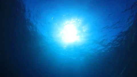 Underwater Ocean 스톡 동영상 69862150