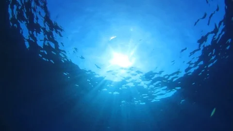Underwater Ocean Video stock 69863620