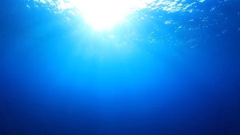 Underwater Ocean 스톡 동영상 69863715