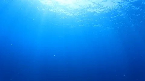 Underwater Ocean Stock Footage 70236191