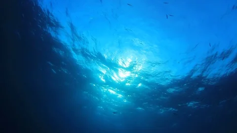 Underwater Ocean Stock Footage 70236504
