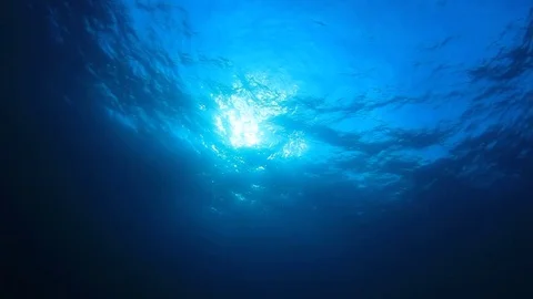 Underwater Ocean 스톡 동영상 70237433