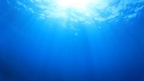 Underwater Ocean Video stock 70237447
