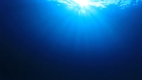 Underwater Ocean Video stock 73123613