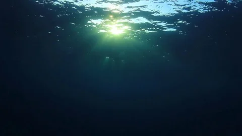 Underwater Ocean 스톡 동영상 84001173