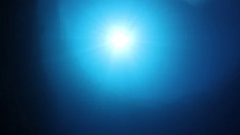Underwater Ocean Видео 98523550