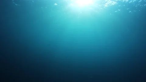 Underwater Ocean Stock-Footage 99378532