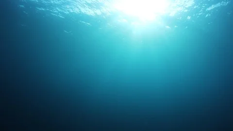 Underwater Ocean Stock-Footage 99378569