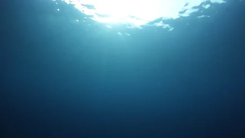 Underwater Ocean Video stock 99558862