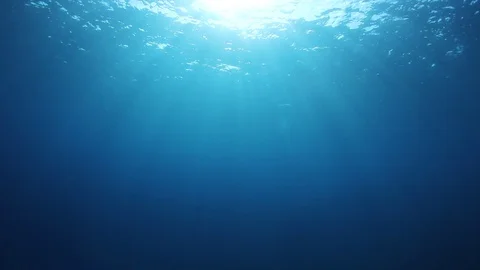 Underwater Ocean 스톡 동영상 103397188