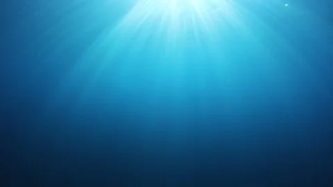 Underwater Ocean Video stock 103840377