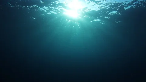 Underwater Ocean Video stock 104188442