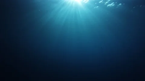 Underwater Ocean Vídeo Stock 104406903