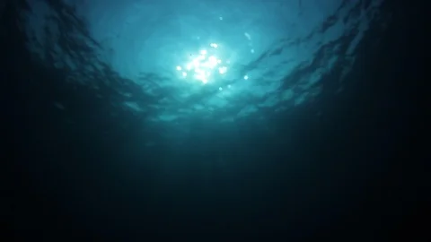 Underwater Ocean Vidéo 105157051
