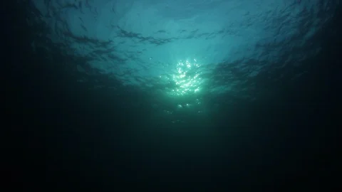 Underwater Ocean Vidéo 106005598