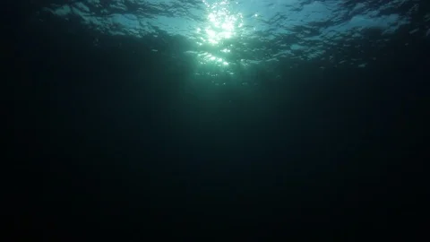 Underwater Ocean Vidéo 106005863