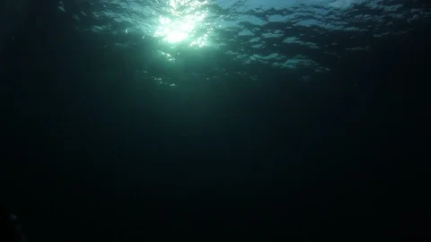 Underwater Ocean Vídeo Stock 106446089
