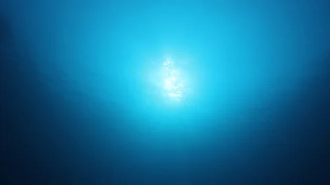 Underwater Ocean Vídeo Stock 106446260