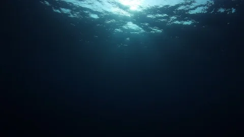 Underwater Ocean Vídeo Stock 106446538