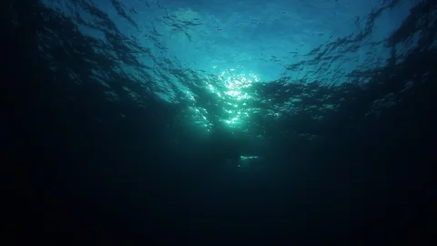 Underwater Ocean Vídeo Stock 106488865