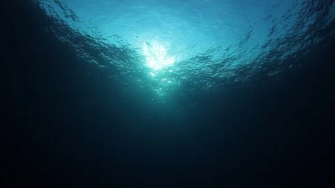 Underwater Ocean Vídeos de archivo 106660728
