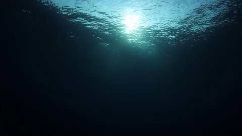 Underwater Ocean Vidéo 106660744