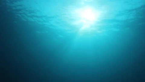 Underwater Ocean Video stock 107348114