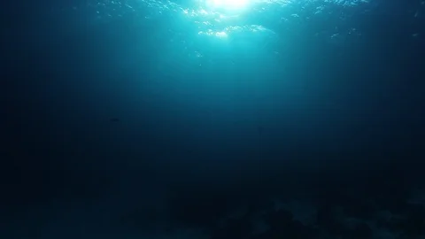 Underwater Ocean Stock-Footage 122365785