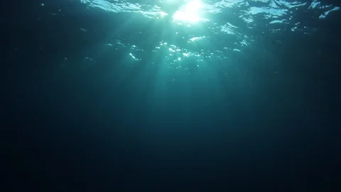 Underwater Ocean 스톡 동영상 122401588