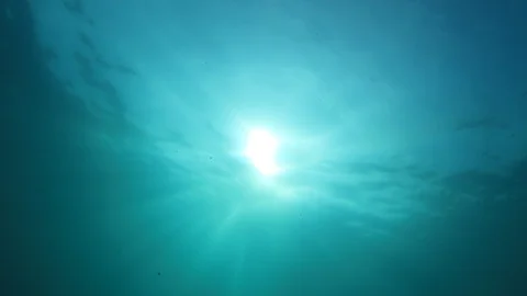 Underwater Ocean Stock Footage 122604575