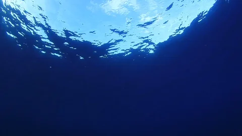 Underwater Ocean Видео 122655883