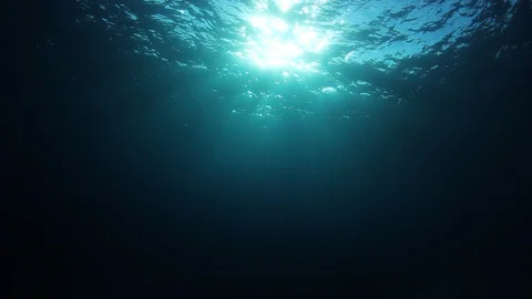 Underwater Ocean Stock Footage 123825094