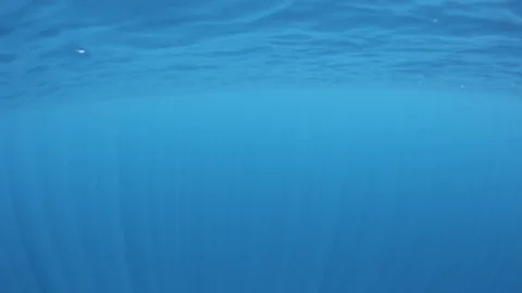 Underwater Ocean Stock Footage 124524041
