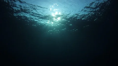 Underwater Ocean Video stock 127209359