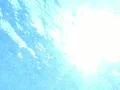 Underwater Ocean HS05 Slow Motion 240fps Footage